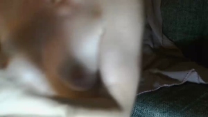 blueeye_girl 25-08-2019 recorded Cam4