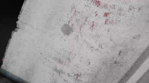 toohoot4you 26-08-2019  Recorded Video Toys