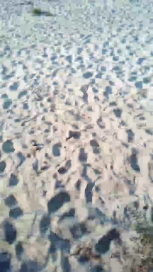 michi48a 26-08-2019  Recorded Video XXX