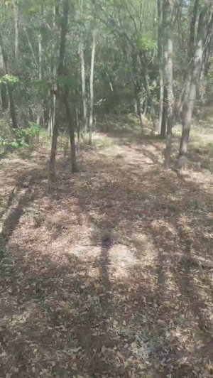 faraon47 27-08-2019  Recorded Video Naked