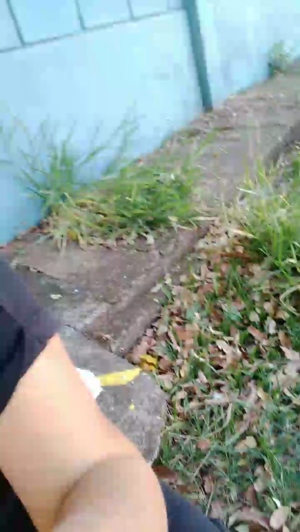 sexudiag 27-08-2019 XXX  Recorded Video