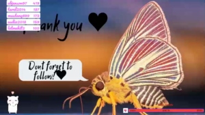 aveksmr 29-08-2019 Download  Recorded Video