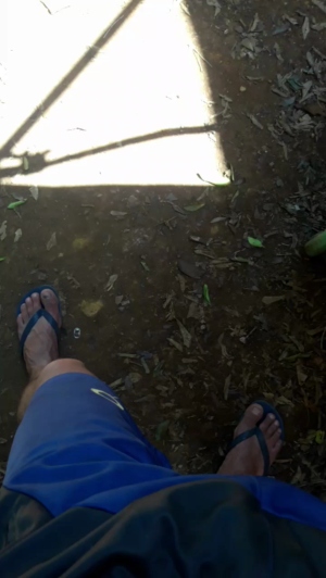 lobooo19cm 29-08-2019  Recorded Video Toys