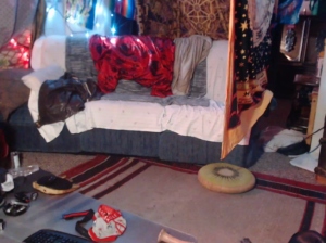 notelocpuppy 30-08-2019  Recorded Video Webcam