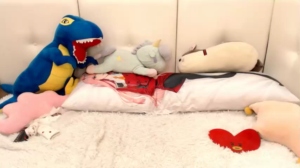 arikajoy 01-09-2019 Naked  Recorded Toys