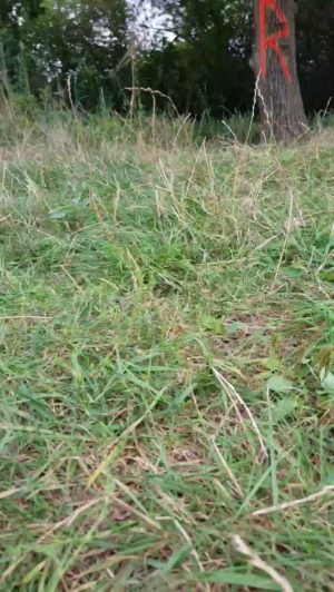 raini1205 01-09-2019  Recorded Video Cam