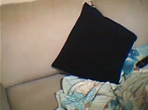 x_ir 02-09-2019  Recorded Video Download