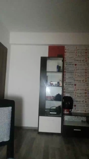 verginia23  02-09-2019 Recorded Topless