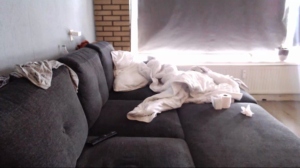 chasexmayhe3 03-09-2019  Recorded Video XXX