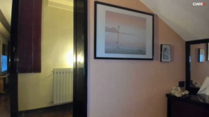 frenzis61 04-09-2019  Recorded Video Toys