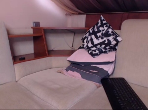 stan_cox 06-09-2019  Recorded Video Free