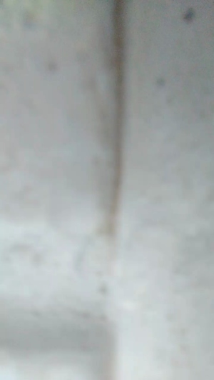 sexudiag  13-09-2019 Recorded Download