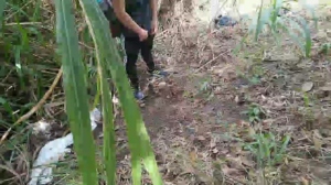 fitstudblack 13-09-2019  Recorded Video Porn