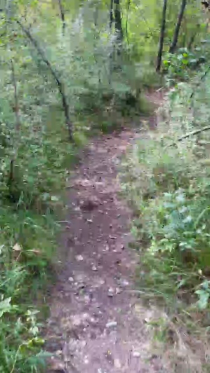 bart_6 19-09-2019  Recorded Video Webcam