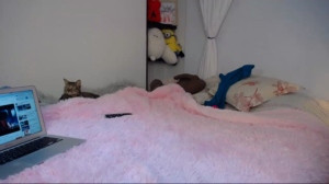 miagrey  21-09-2019 Recorded Video