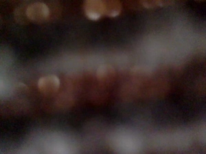 adamguynl 22-09-2019  Recorded Video XXX