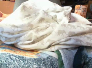 eurodiznee 29-09-2019  Recorded Video Cam