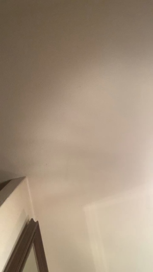 sexfriendch 03-10-2019  Recorded Video Download