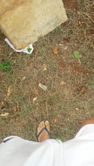 lobooo19cm 04-10-2019  Recorded Video Webcam