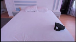 adallinee 08-10-2019 Webcam  Recorded Free