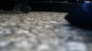 edging_cum 17-10-2019  Recorded Video Free