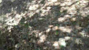 math_garcia 19-10-2019  Recorded Video Free