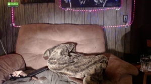 alienfreakss  19-10-2019 Recorded Free