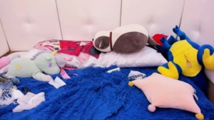 arikajoy 20-10-2019 Cam  Recorded Naked