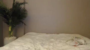 missamerica_  24-10-2019 Recorded Nude