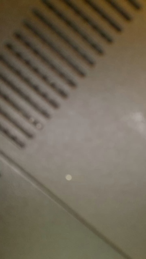 sexfriendch 25-10-2019  Recorded Video Toys