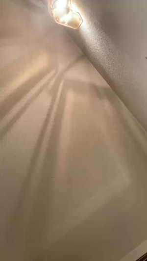 sexfriendch 26-10-2019  Recorded Video Topless