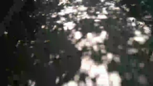 fitstudblack 28-10-2019  Recorded Video Free