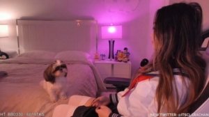 clara_chan  02-11-2019 Recorded Toys