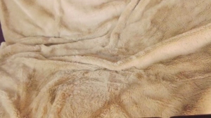 ramonatorres_  03-11-2019 Recorded Cam
