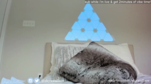 skywallace  05-11-2019 Recorded Cam
