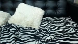 andrahart  15-11-2019 Recorded Webcam