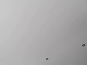 ericafontesx  17-11-2019 Recorded Porn