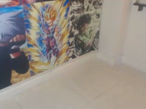 harriet_mann 19-11-2019  Recorded Video Webcam
