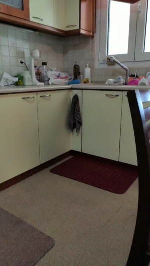analvivian  21-11-2019 Recorded Video