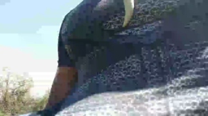 fitstudblack 23-11-2019  Recorded Video XXX