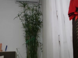 angel_inna 24-11-2019 Porn  Recorded Video