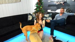 Tinydancer0107  04-12-2019 Recorded Show