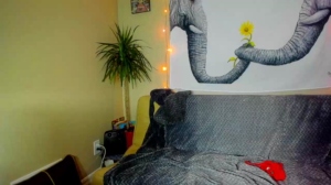 Sunshinekate 22-12-2019 Download  Recorded Video