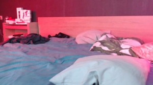 Wutquack  23-12-2019 Recorded Video