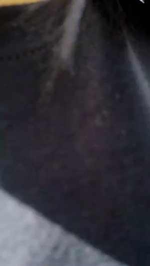 vanesa_sexxy  24-12-2019 Recorded Free