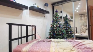 Swanprincess 25-12-2019 recorded  Recorded Toys