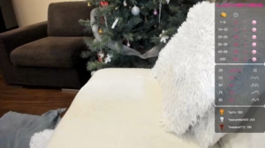Bunny_Room  25-12-2019 Recorded Webcam