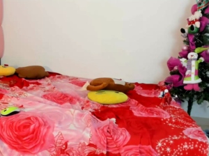 dalilacum69 28-12-2019 Topless  Recorded Toys