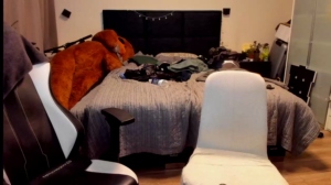 Lovleycouplexxx 29/12/2019 Chaturbate