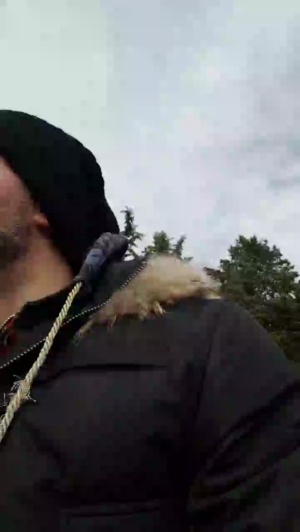 italysexyman 04-01-2020  Recorded Video Porn